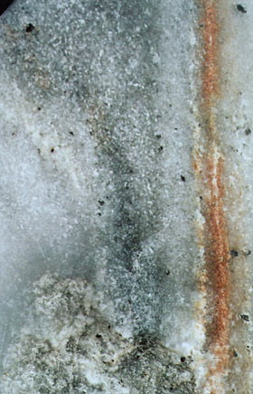 cliquez pour agrandir