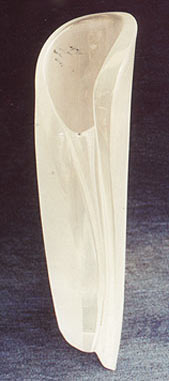 coste2006-p38-3 (11K)