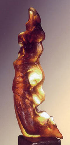 coste2006-p38-4 (12K)