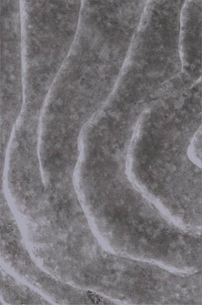 coste2006-p79-1 (41K)